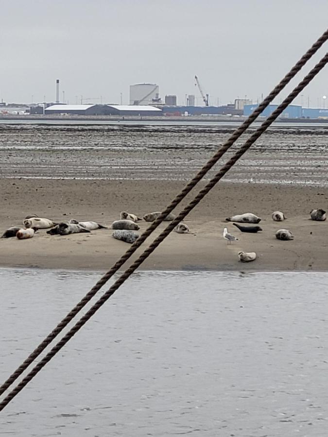 Det Bla Gaestehus Fanø Exterior foto